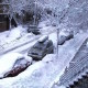 snow day, stuck at home