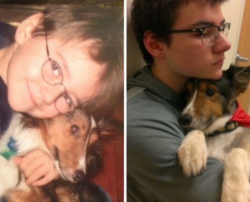 dogs, pets. pet, first, last, photo