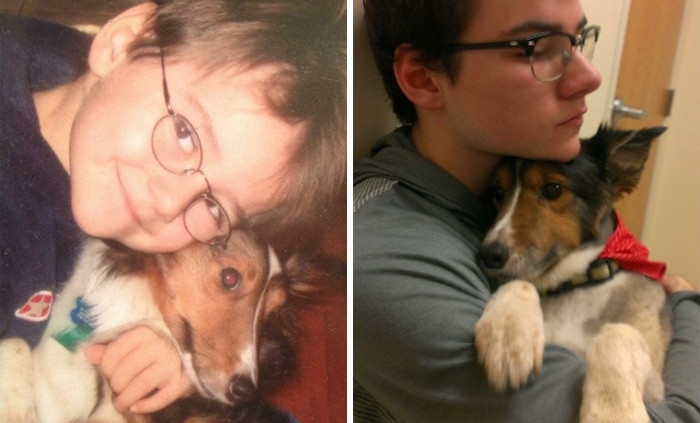 dogs, pets. pet, first, last, photo