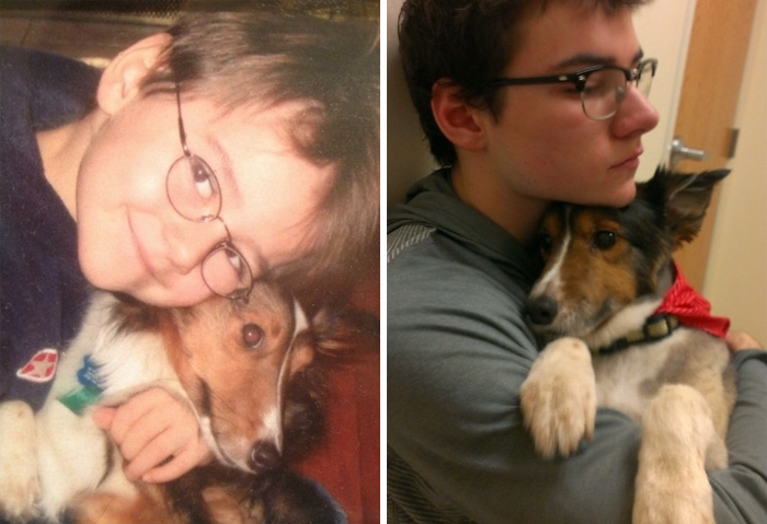 dogs, pets. pet, first, last, photo