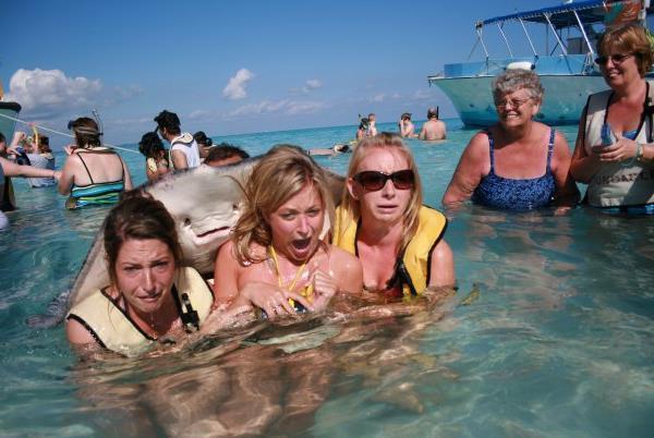 sting ray, swimming, girls, photobomb, photo bomb, pictures